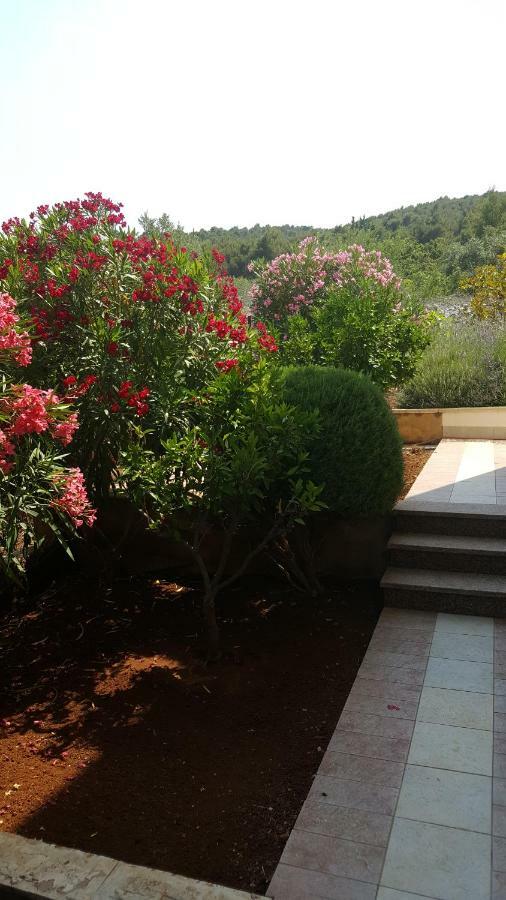 Apartments Romana سلاتين المظهر الخارجي الصورة